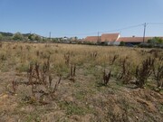 Terreno R�stico - Casais, Tomar, Santar�m - Miniatura: 8/8