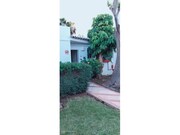 Moradia T1 - Olhos de gua, Albufeira, Faro (Algarve) - Miniatura: 5/8