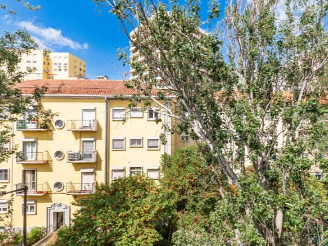 Apartamento T4 - Alvalade, Lisboa, Lisboa - Imagem grande