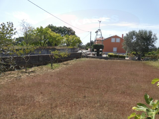Terreno Rústico - Casais, Tomar, Santarém - Imagem grande