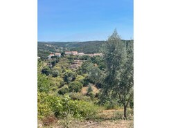 Terreno Rstico - Aldeia do Mato, Abrantes, Santarm