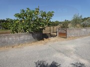 Terreno Rstico - Casais, Tomar, Santarm - Miniatura: 2/8