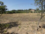 Terreno Rstico - Casais, Tomar, Santarm - Miniatura: 4/8