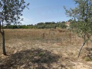 Terreno Rstico - Casais, Tomar, Santarm - Miniatura: 6/8