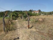Terreno Rstico - Casais, Tomar, Santarm - Miniatura: 7/8