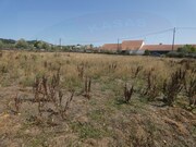 Terreno Rstico - Casais, Tomar, Santarm - Miniatura: 8/8