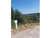 Terreno Rstico - Aldeia do Mato, Abrantes, Santarm - Miniatura: 2/3