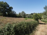 Terreno R�stico - Casais, Tomar, Santar�m - Miniatura: 7/7