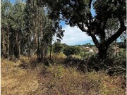 Terreno R�stico - Olalhas, Tomar, Santar�m - Miniatura: 4/9