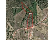 Terreno R�stico - Olalhas, Tomar, Santar�m - Miniatura: 9/9