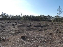 Terreno R�stico - Silveira, Torres Vedras, Lisboa