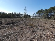 Terreno R�stico - Silveira, Torres Vedras, Lisboa - Miniatura: 2/9