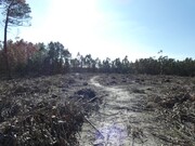 Terreno R�stico - Silveira, Torres Vedras, Lisboa - Miniatura: 6/9