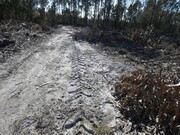 Terreno R�stico - Silveira, Torres Vedras, Lisboa - Miniatura: 7/9