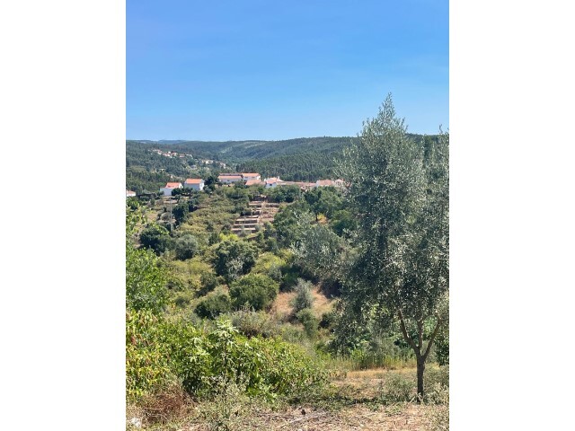 Terreno R�stico - Aldeia do Mato, Abrantes, Santar�m - Imagem grande