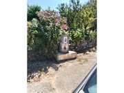 Terreno R�stico - Aldeia do Mato, Abrantes, Santar�m - Miniatura: 1/3