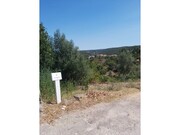 Terreno R�stico - Aldeia do Mato, Abrantes, Santar�m - Miniatura: 2/3