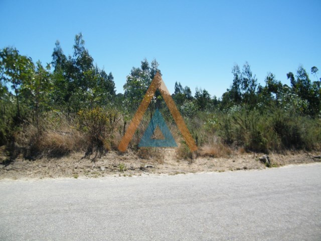 Terreno Rstico - Ovar, Ovar, Aveiro - Imagem grande