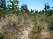 Terreno Rstico - Ovar, Ovar, Aveiro - Miniatura: 1/3