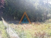 Terreno Rstico - Fornos, Santa Maria da Feira, Aveiro - Miniatura: 4/6
