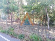 Terreno Rstico - Fornos, Santa Maria da Feira, Aveiro - Miniatura: 5/6
