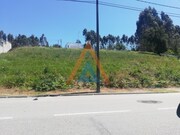 Terreno Rstico - Sanguedo, Santa Maria da Feira, Aveiro - Miniatura: 3/9