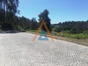 Terreno Rstico - Sanguedo, Santa Maria da Feira, Aveiro - Miniatura: 7/9