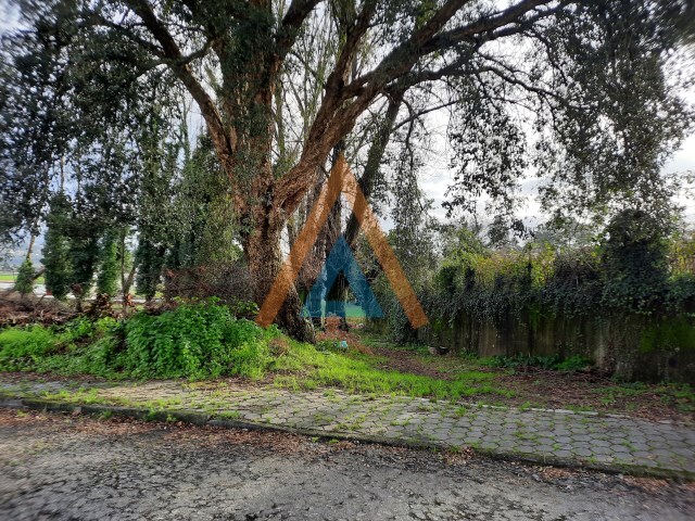 Terreno Rústico - Vila de Cucujães, Oliveira de Azeméis, Aveiro - Imagem grande
