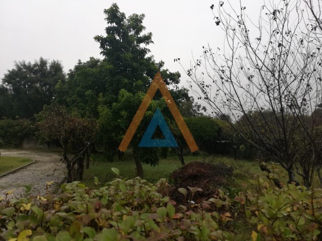 Terreno Urbano - São Paio de Oleiros, Santa Maria da Feira, Aveiro - Imagem grande
