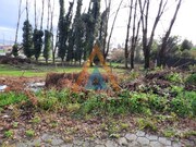 Terreno Rstico - Vila de Cucujes, Oliveira de Azemis, Aveiro - Miniatura: 4/8