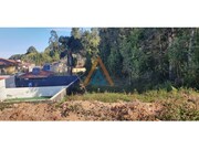 Terreno Rstico - Mosteir, Santa Maria da Feira, Aveiro - Miniatura: 2/5