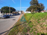 Terreno Rstico - Santa Maria da Feira, Santa Maria da Feira, Aveiro - Miniatura: 6/9