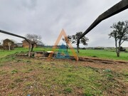 Quinta T2 - Vlega, Ovar, Aveiro - Miniatura: 1/9