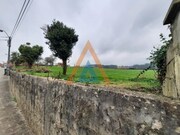 Quinta T2 - Vlega, Ovar, Aveiro - Miniatura: 4/9