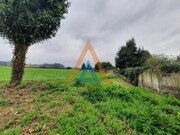 Quinta T2 - Vlega, Ovar, Aveiro - Miniatura: 5/9