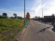 Terreno R�stico - Santa Maria da Feira, Santa Maria da Feira, Aveiro - Miniatura: 9/9