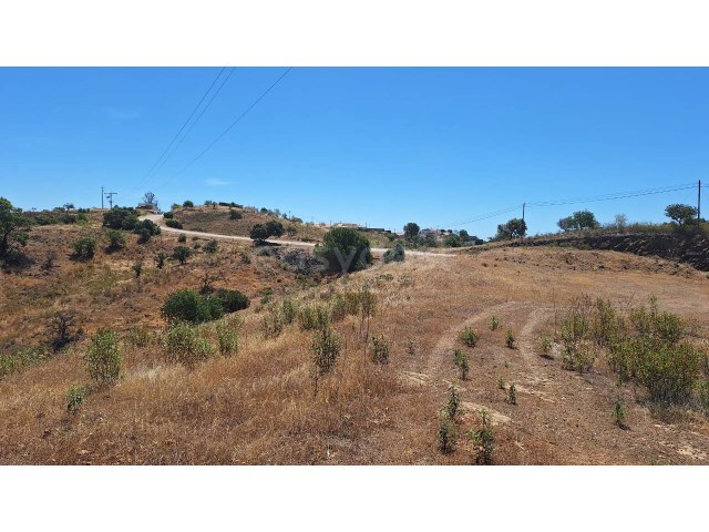 Terreno R�stico - Azinhal, Castro Marim, Faro (Algarve) - Imagem grande
