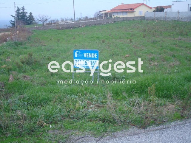 Terreno R�stico - Felgar, Torre de Moncorvo, Bragan�a - Imagem grande