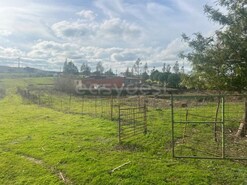 Terreno R�stico - Vila Verde de Ficalho, Serpa, Beja