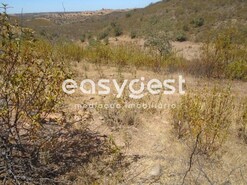 Terreno R�stico - Corte do Pinto, M�rtola, Beja