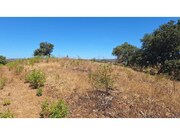 Terreno R�stico - Azinhal, Castro Marim, Faro (Algarve) - Miniatura: 1/9
