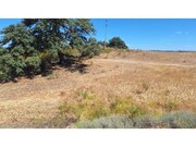 Terreno R�stico - Azinhal, Castro Marim, Faro (Algarve) - Miniatura: 7/9