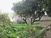 Moradia T4 - Rio de Mouro, Sintra, Lisboa - Miniatura: 6/9