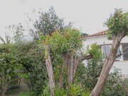 Moradia T4 - Rio de Mouro, Sintra, Lisboa - Miniatura: 7/9