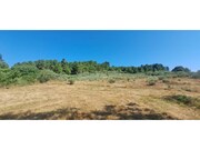 Terreno R�stico - Carvi�ais, Torre de Moncorvo, Bragan�a - Miniatura: 1/8