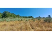 Terreno R�stico - Carvi�ais, Torre de Moncorvo, Bragan�a - Miniatura: 2/8