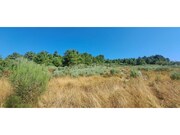Terreno R�stico - Carvi�ais, Torre de Moncorvo, Bragan�a - Miniatura: 3/8