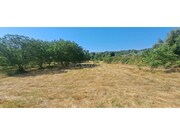Terreno R�stico - Carvi�ais, Torre de Moncorvo, Bragan�a - Miniatura: 4/8