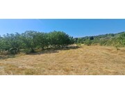 Terreno R�stico - Carvi�ais, Torre de Moncorvo, Bragan�a - Miniatura: 5/8