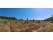 Terreno R�stico - Carvi�ais, Torre de Moncorvo, Bragan�a - Miniatura: 6/8